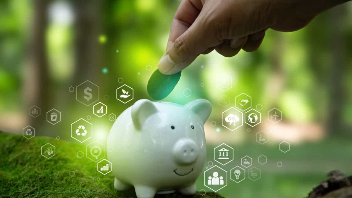 pig shows concept of sustainable investing