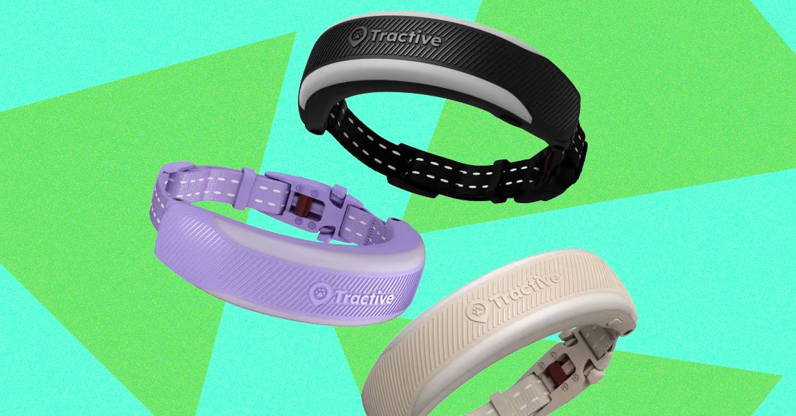 Tractive Cat 6 Mini Review: A Fitbit for Your Cat